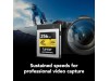 Lexar 256GB Professional CFexpress Type B Card GOLD Series LEXAR LCXEXPR256G-RNENG Lexar 256GB Professional CFexpress Type B Card GOLD Series LEXAR LCXEXPR256G-RNENG